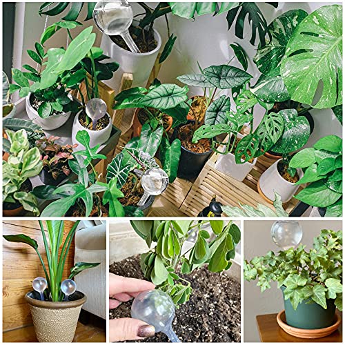 10 Pcs Clear Plant Watering Globes,Plastic Self-Watering Bulbs,Flower Automatic Watering Device,Garden Waterer for Plant Indoor Outdoor - size: 5 Large+5 Small