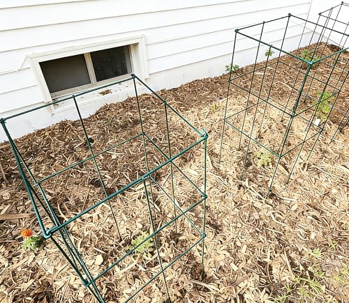 2 Pack 12x39 Inch High Green Folding Square Tomato Cages - size: 39in Sq-Green-2Pack
