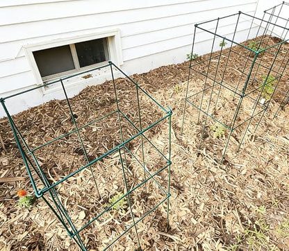 2 Pack 12x39 Inch High Green Folding Square Tomato Cages - size: 39in Sq-Green-2Pack