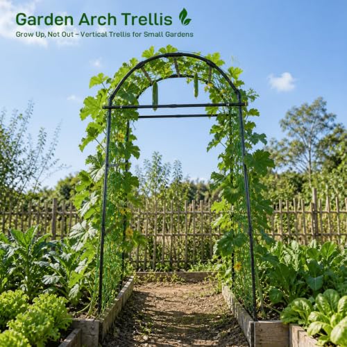 FOLLOOK Garden Arch Trellis for Climbing Plants Outdoor, 6.7ft, Black - size: 31.5" x 31.5" x 78.7"