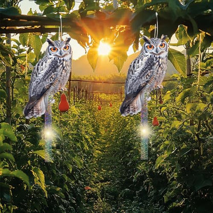 5PCS Garden Owl to Keep Pigeons Away from Porch Flat Paper Fake Owl to Scare Pigeon Away from Balcony Hanging Plastic Owl Woodpecker Scare Devices with Reflective Tape for Outdoor Patio Roof Yard - color: Grey 5pcs