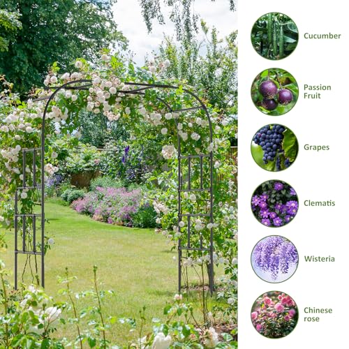 87in H Tall Garden Arch Trellis for Climbing Plants Outdoor - size: 79" L x 16" W x 87" H
