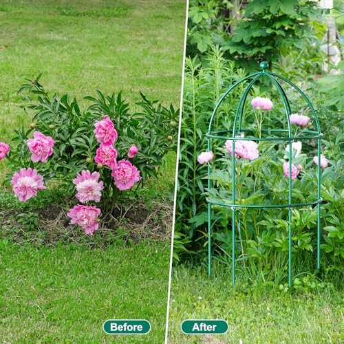 DoCred 6 Pack Peony Cage, 15.7" x 31.5" Metal Plant Support Garden Trellis - size: 31.5"H x 15.7"W/6PC
