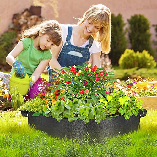 ZtohPyo 50 Gallon Plant Grow Bags, Large Fabric Raised Garden Bed with Handles, Durable Garden Beds Planters Aeration Gardening Container to Grow Vegetables for Outdoor Plants - size: 1-pack 50 Gallon