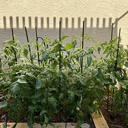 Garden Stakes, 48 Inch 4Ft Steel Plant Tomato Stakes, 25 Pack - size: 48 inch
