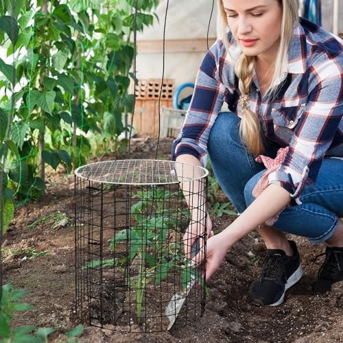 Adnee 8 Pack Wire Plant Protector with Cover-12" x 11" Detachable Plant Protector Metal Plant Cages-Garden Plant Cages for Flower Vegetable to Keep Animals Out - color: 8 Pack 12x11 Inch