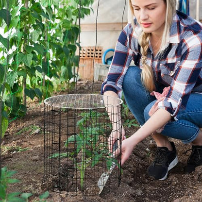 Adnee 8 Pack Wire Plant Protector with Cover-12" x 11" Detachable Plant Protector Metal Plant Cages-Garden Plant Cages for Flower Vegetable to Keep Animals Out - color: 8 Pack 12x11 Inch