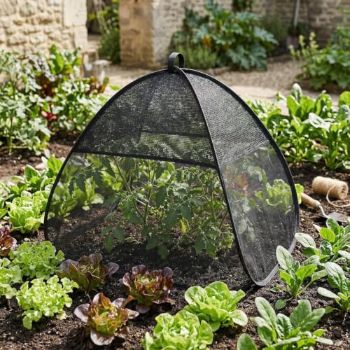 2PCS Pop Up Insect Barrier Plant Cover Tent,Garden Plant Protectors Mesh (Black) - color: Black
