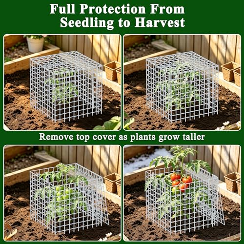 4Set 12"x12" Plant Protectors from Animals, All-Metal Plant Cage with Cover