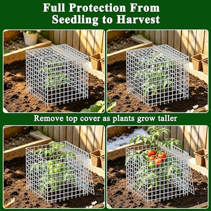 4Set 12"x12" Plant Protectors from Animals, All-Metal Plant Cage with Cover