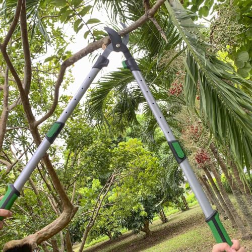 Telescopic 38 Inch Bypass Loppers