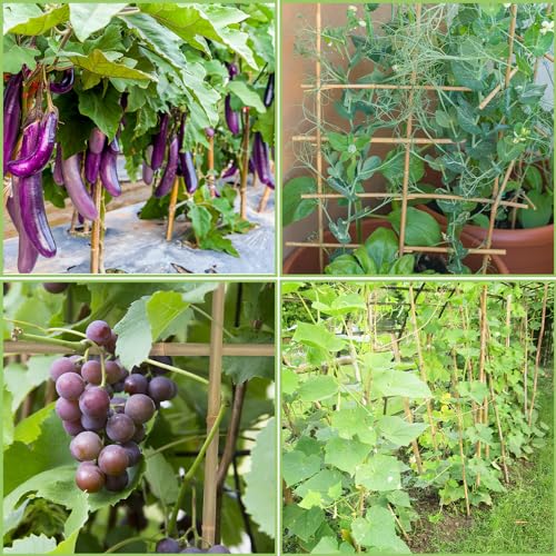 GAGINANG Natural Bamboo Garden Stakes, 4FT Trellis Plant Support 25Pcs - size: 4Ft,Pack of 25