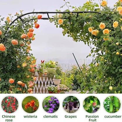 BUKLIYN Garden Arch Trellis - Garden Arch Size:126in(L) * 94.5in(H) - color: Length: 126in-Black, size: Arch