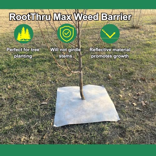 Max Weed Barrier, 34 in x100 ft, Natural, Eco-Friendly, Heavy-Duty, Durable, Landscape Fabric, Garden Ground Cover, Paper Mulch, Gardening Weed Mat, Geotextile Fabric, Weed Blocker - size: 34" x 100 ft