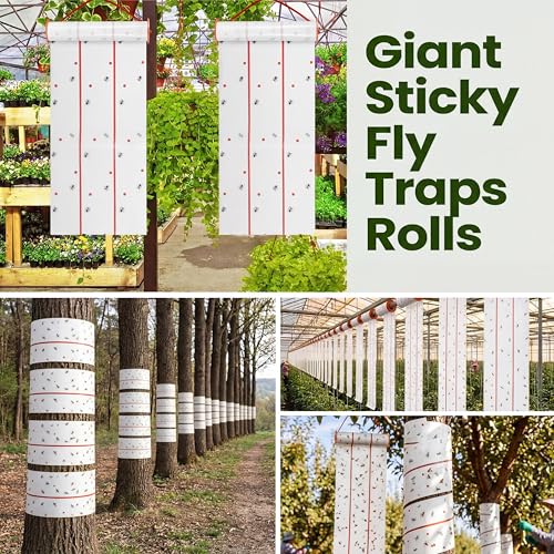 Qualirey 2 Pcs Giant Flypaper Fly Traps, 295ft Sticky Fluorescent Green - color: White