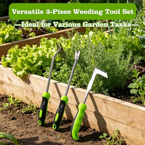 Weed Puller Tool Set, 3-Piece Stainless Steel Garden Weeder Tool Kit, Manual Crack Weeder Crevice Weeding Tool, Hand Weeder Tool for Dandelion, Uprooting Weeding Tools for Garden (Green (3 pcs)) - color: Green (3 pcs)