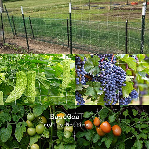 BaseGoal 3.5in Mesh Trellis Netting, 5x15ft, 2 Pack - size: 3.5" Mesh