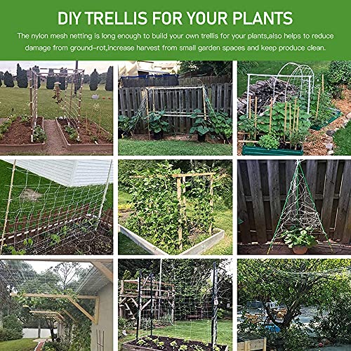 Trellis Netting, CANAGROW Heavy-Duty Garden Plant Trellis Netting for Climbing Plants, Outdoor Indoor Grow Net for Beans Tomatoes Peas Pumpkin Flowers, 6x15ft, 1 Pack - size: 6'x15'