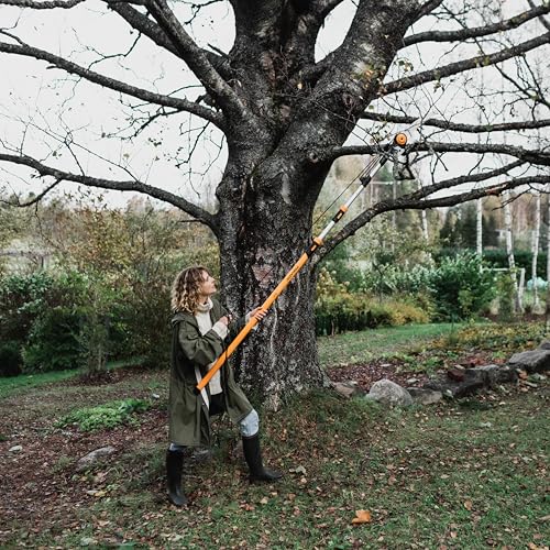 Fiskars 7-16 Ft Chain-Drive Extendable 2-in-1 Tree Pruner & Manual Pole Saw - style: 7-16 ft Chain Drive Saw & Pruner