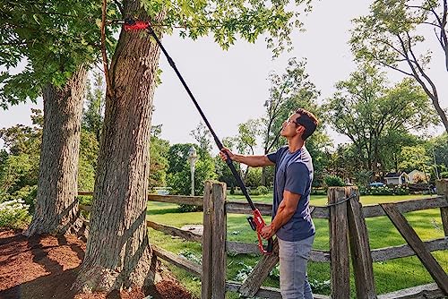 SKIL PS4563B-10 PWR CORE 20 8" 20V Pole Saw Kit, Includes with 2.0Ah Lithium Battery and Charger, Red - style: 20V 8" Pole Saw Kit