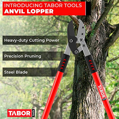 TABOR TOOLS GG12A Anvil Lopper with Compound Action, 30 Inch Tree Trimmer & Branch Cutter, Heavy Duty Tree Pruner with 2 Inch Cut Capacity, Chops Thick Dry Branches with Ease - style: GG12A 30 Inch Anvil Lopper with lever