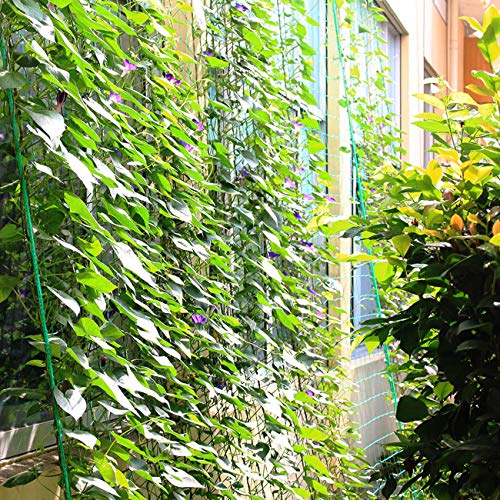 2Pack 5.9Ft x 8.86Ft Garden Plant Trellis Plant Climbing Net
