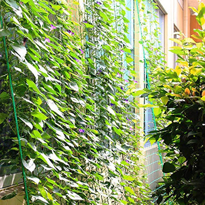 2Pack 5.9Ft x 8.86Ft Garden Plant Trellis Plant Climbing Net