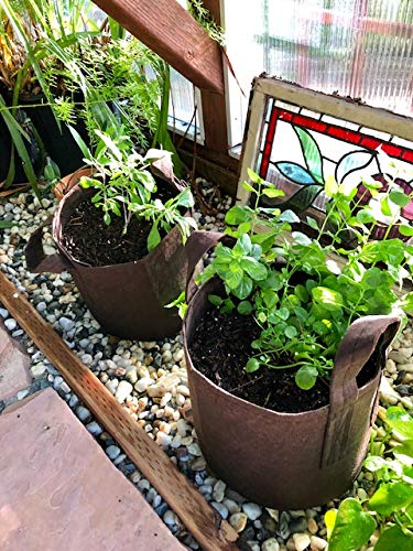 Soft POTS (10 Gallon) Best Fabric Aeration Garden POTS from Maui Mike's. Thicker Fabric and Sewn Handles for Easy Moving. Grow Bigger and Faster Tomatoes,Veggies and Herbs in Soft POTS.