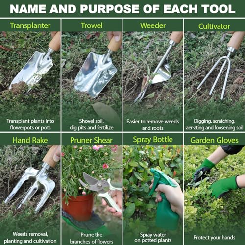 10 Piece Green Gardening Tool Set– Stainless Steel Tools with Wooden Handles, Folding Stool & Canvas Tote, Durable Garden Kit for Every Gardener
