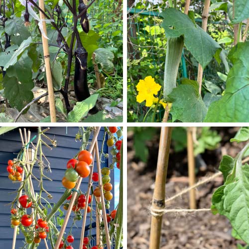 Cambaverd Bamboo Stakes 7 Feet, 15 Pack Bamboo Poles for Tall Plants - size: 7 FT-15PACK