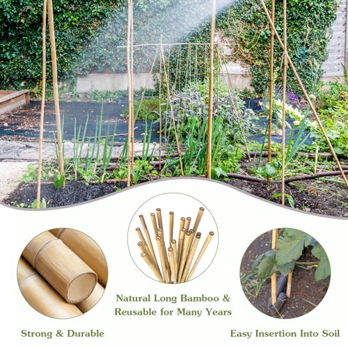 Plant Stakes 4FT, Natural Bamboo Stakes, 25Pcs Sturdy Bamboos Garden Stakes - size: 4Ft, 25Pack