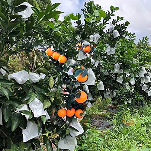 Fruit Protection Paper Bags 100pcs White Protection Cover Bags 6.6X7.8inch, Fruit Bags for Fruit Trees, Orchard, Trees, Frost, Plants (17x20) - size: 17x21 cm