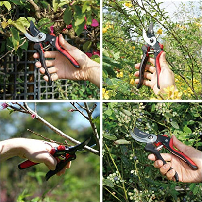 Eden 39001 Professional Sharp Bypass Pruning Shears, Tree Trimmers Secateurs,Hand Pruner, Garden Shears,Clippers For Garden, Bonsai Cutters - style: Professional