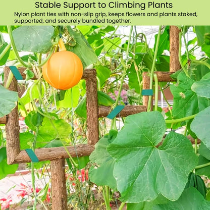 Plant Ties Hook and Loop Garden Tapes 1/2'' Wide Fabric Fastening Tape Double Sided Self Gripping Strap Reusable Adjustable Cable Ties Garden Vines Ties, Soft Plant Tie (1/2 Inch x 32 ft, Green) - size: 1/2 Inch x 32 Feet