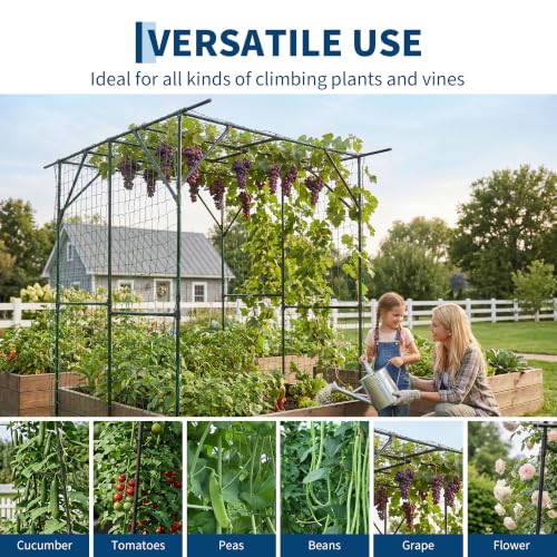 Garvee Metal Garden Arch Trellis for Climbing Plants Outdoor - color: Black-79"L*59"W*78"H