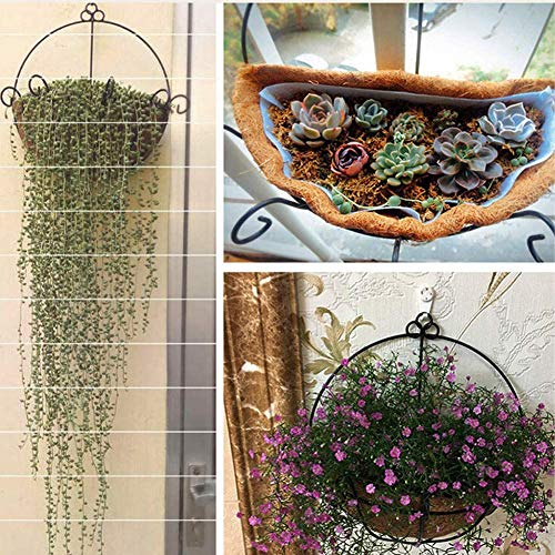 2PCS Half Round Replacement Coco Liner for Hanging Basket Wall Flower Basket Half Circle Wall Planter Coconut Fiber Plant Basket Liner for Garden Planter Flower Pot (16 inch) - size: 16 inch