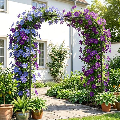 DoCred 87" H x 79" L Garden Arch Trellis, Metal Trellis for Climbing Plants - size: 87"H x 79"L x 16"W