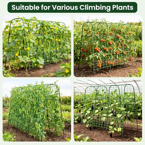 50"x48"Cucumber Trellis, Garden Arch Trellis for Climbing Plants Outdoor - color: Black