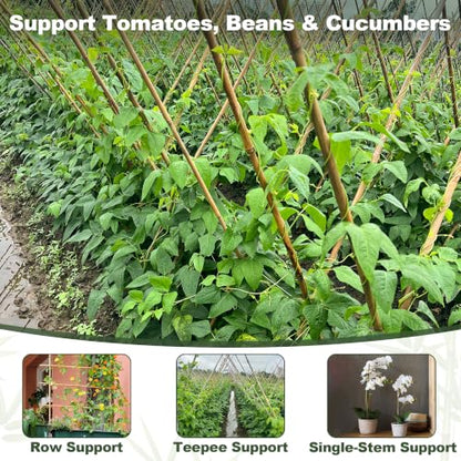 Natural Bamboo Poles, 2 Feet Bamboo Sticks for Plants, Wood Garden Stakes for Tomato, Bean, Flowers, Trees Potted and Climbing Plants, 75 Pack - size: 2FT-75PCS