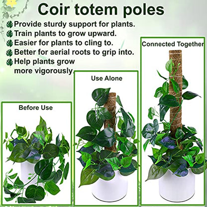 Fabulas Moss Pole 58.7 Inch - Monstera Plant Support 5 Pack, 17.5" and 12" Plant Stakes for Indoor Plants Coco Coir Moss Pole Sticks for Climbing Potted Live Plants, Pothos, Philodendron - size: moss pole 17.5"x3pcs, 12"x2pcs