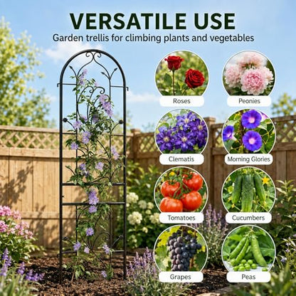 2-Pack 87" x 20" Sunflower Scroll Arch Black Metal Garden Trellises - color: 2 Pack 87"- Sunflower Black
