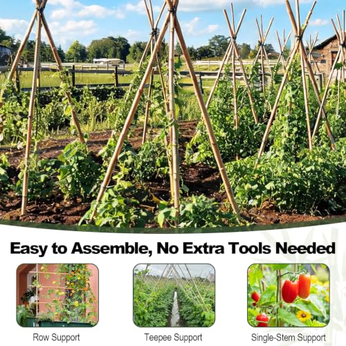 Natural Bamboo Plant Stakes (8ft-10PCS) - size: 8ft-10PCS