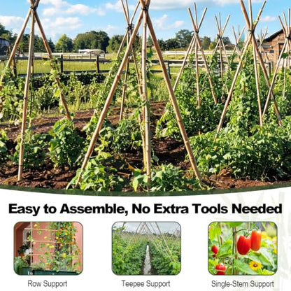 Natural Bamboo Plant Stakes (8ft-10PCS) - size: 8ft-10PCS