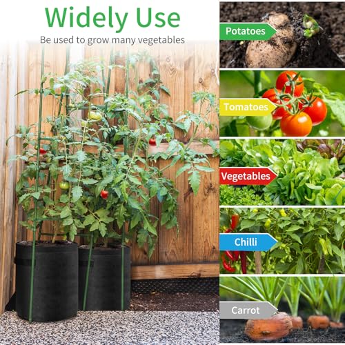 JJGoo 2 Pack Potato Grow Bags 10 Gallon with Flap, Heavy Duty Fabric Grow Bags with Handle and Harvest Window, Non-Woven Planter Pot Plant Garden Bags to Grow Vegetables Potato Tomato, Black - color: Black 10 Gallon, size: 2 Pack with Window