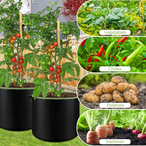 6-Pack 5 Gallon Grow Bags - 300G Heavy Duty Aeration Fabric Pots with Handles,Thickened Nonwoven Planter Bags for Vegetables Flowers Fruits - color: Black, size: 5 Gallon
