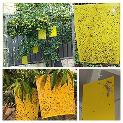 30 Pack Yellow Sticky Traps Fruit Fly Trap, Double-Sided Fungus Gnat Trap - size: 30Packs