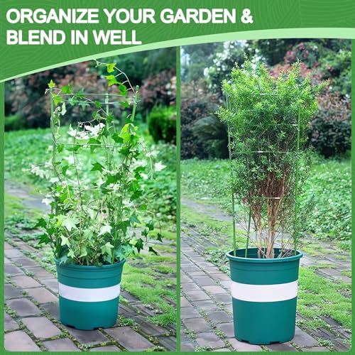KLS 3 Pack Tomato Cage for Pots Plant Support, Upgrade 24 Inches Tomato Cages for Garden, Pepper Cage Trellis Kit with Plant Tie and Clips (24") - size: 24"