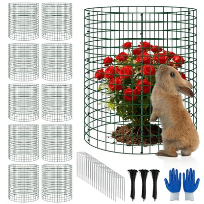 10 Pack 12x16 Inch Metal Plant Protector Cages, Garden Animal Barriers - color: 10 Pack, size: 12x16 IN
