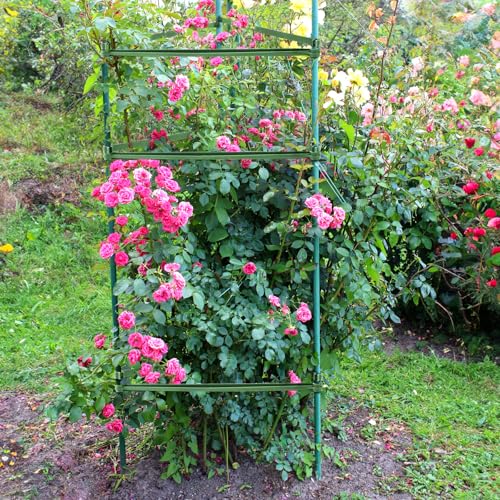 Coloch 100 Pcs Plant Stake Arms for Tomato Cage, 11.8” Expandable Plant Supports Trellis Connector with 2 Buckles for 11mm Diameter Plant Stake, for Climbing Plants, Tomato, Vegetable, Indoor&Outdoor