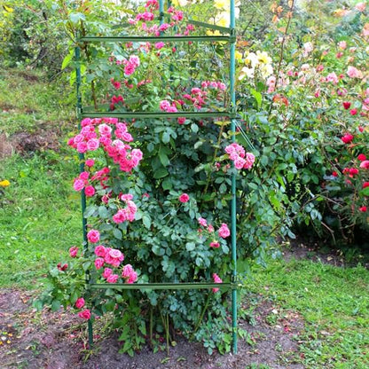 Coloch 100 Pcs Plant Stake Arms for Tomato Cage, 11.8” Expandable Plant Supports Trellis Connector with 2 Buckles for 11mm Diameter Plant Stake, for Climbing Plants, Tomato, Vegetable, Indoor&Outdoor
